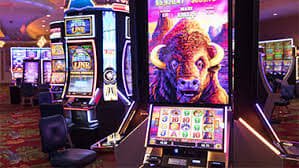 499 bet apk